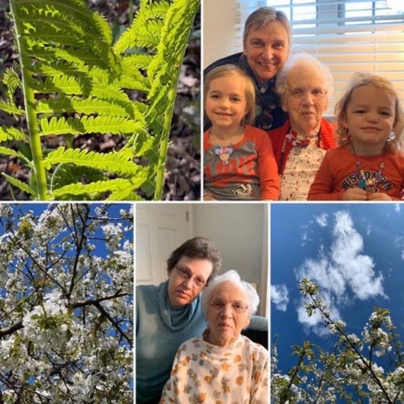 Meet your Posher, Nancy - Picture 1 of 1